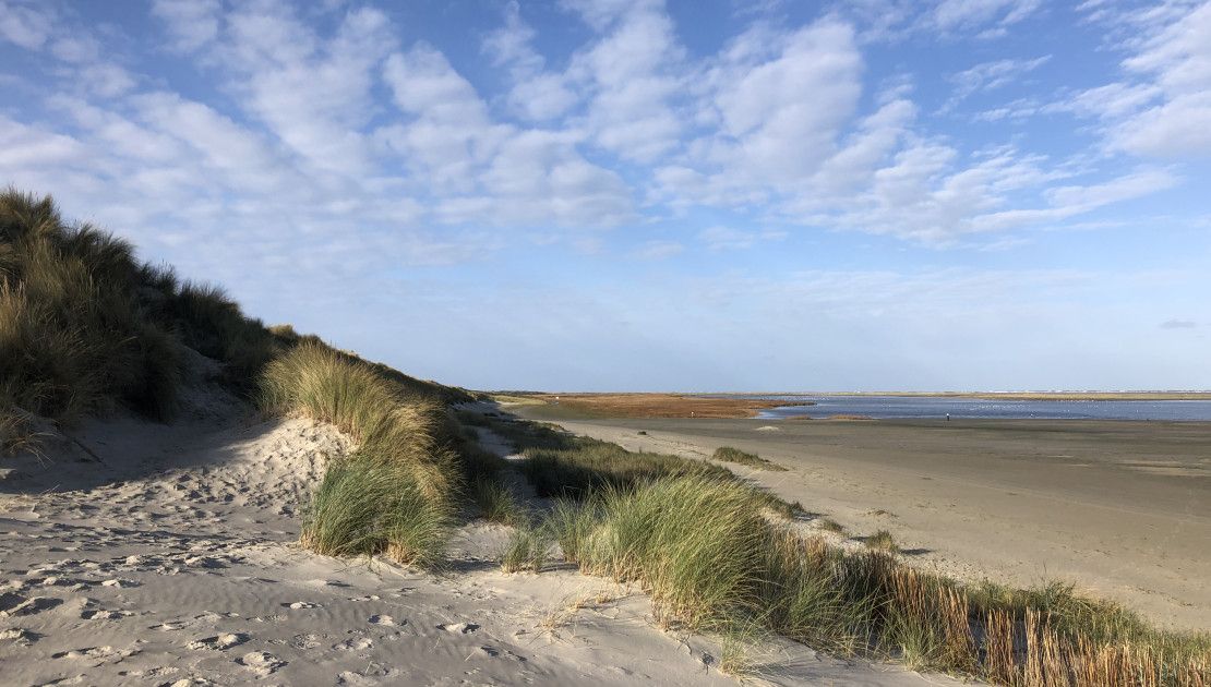 Groene strand - VVV Ameland