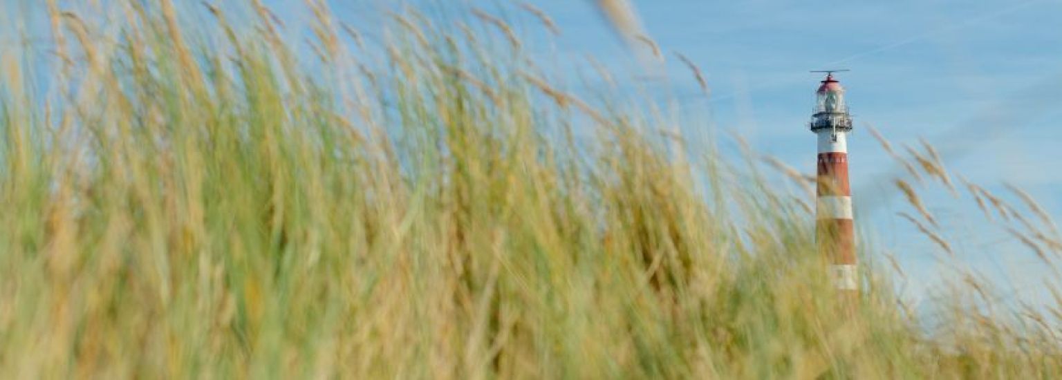 Häufig gestelte Fragen über Fährverkehr auf Ameland - VVV Ameland.