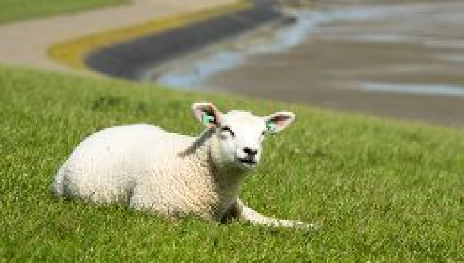 Häufig gestelte Fragen über Bezahlung auf Ameland - VVV Ameland.