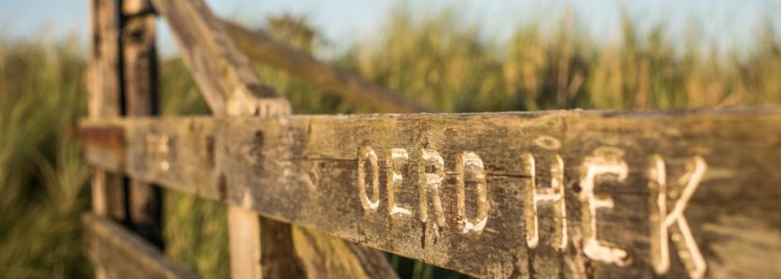 Häufig gestelte Fragen über Fährverkehr auf Ameland - VVV Ameland.