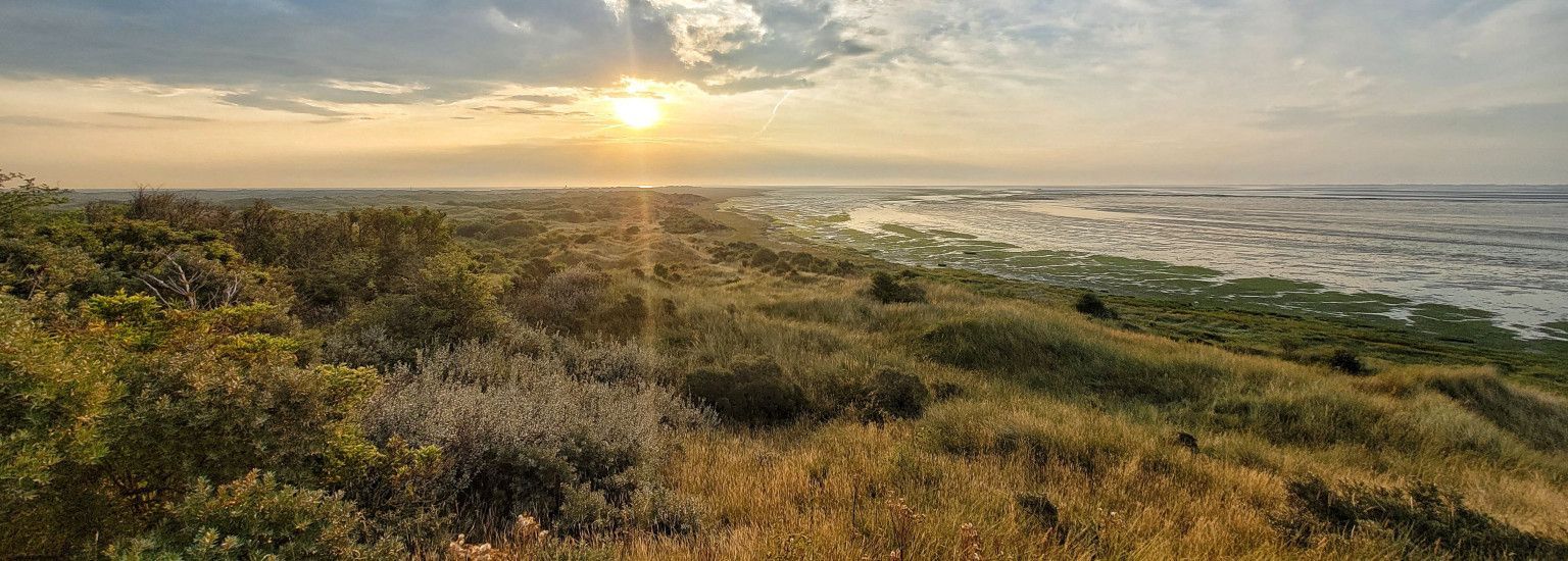 Oerd und Hôn - VVV Ameland