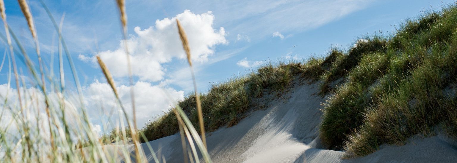 Ferienhäuser Hollum 5 - 6 Personen - VVV Ameland