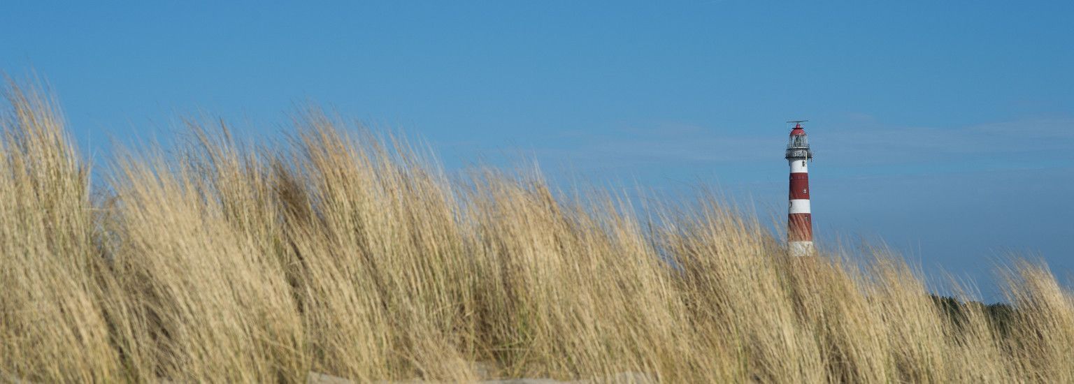 Gruppenhäuser Hollum - VVV Ameland