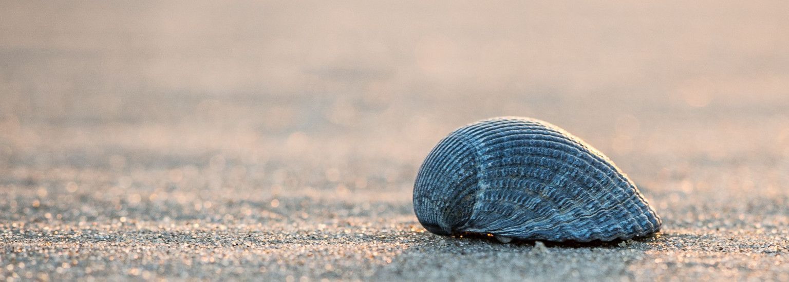 Tennisplatz Camping Roosdunen - VVV Ameland