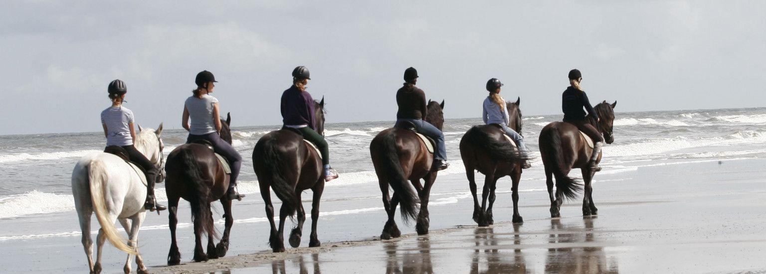 Reitstall 't Jutterspad - VVV Ameland