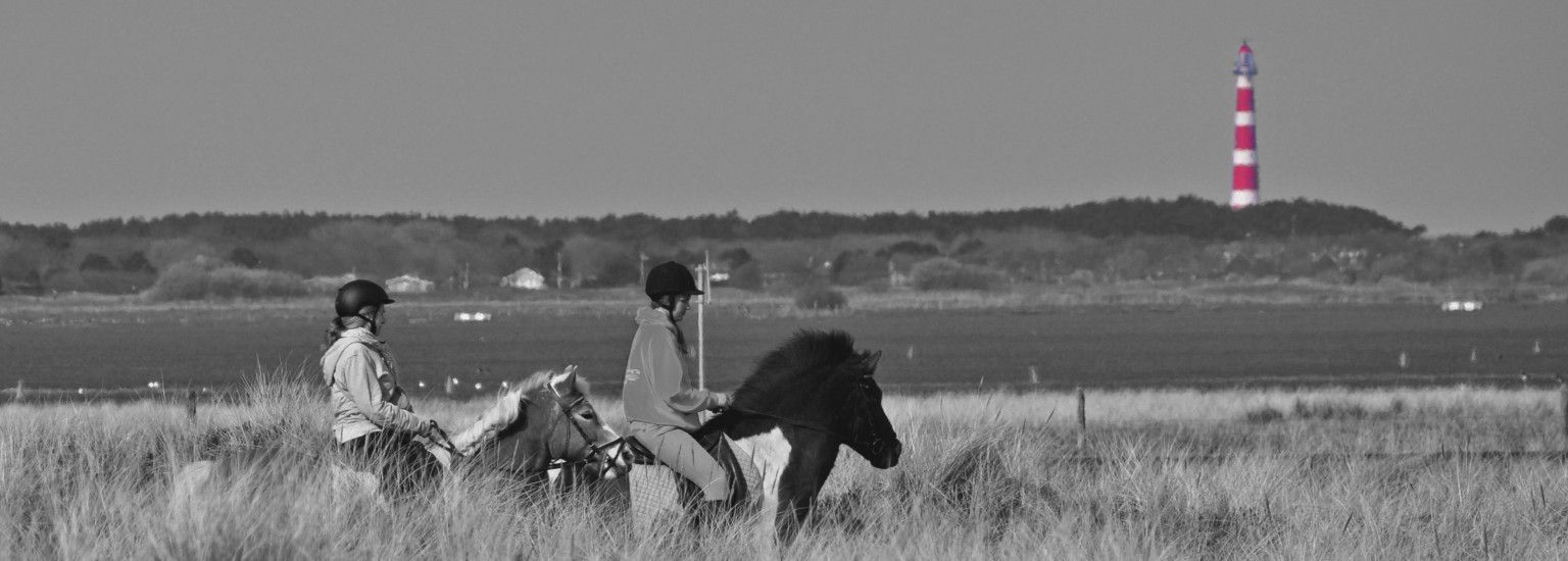 Reitstall Le Cheval - VVV Ameland