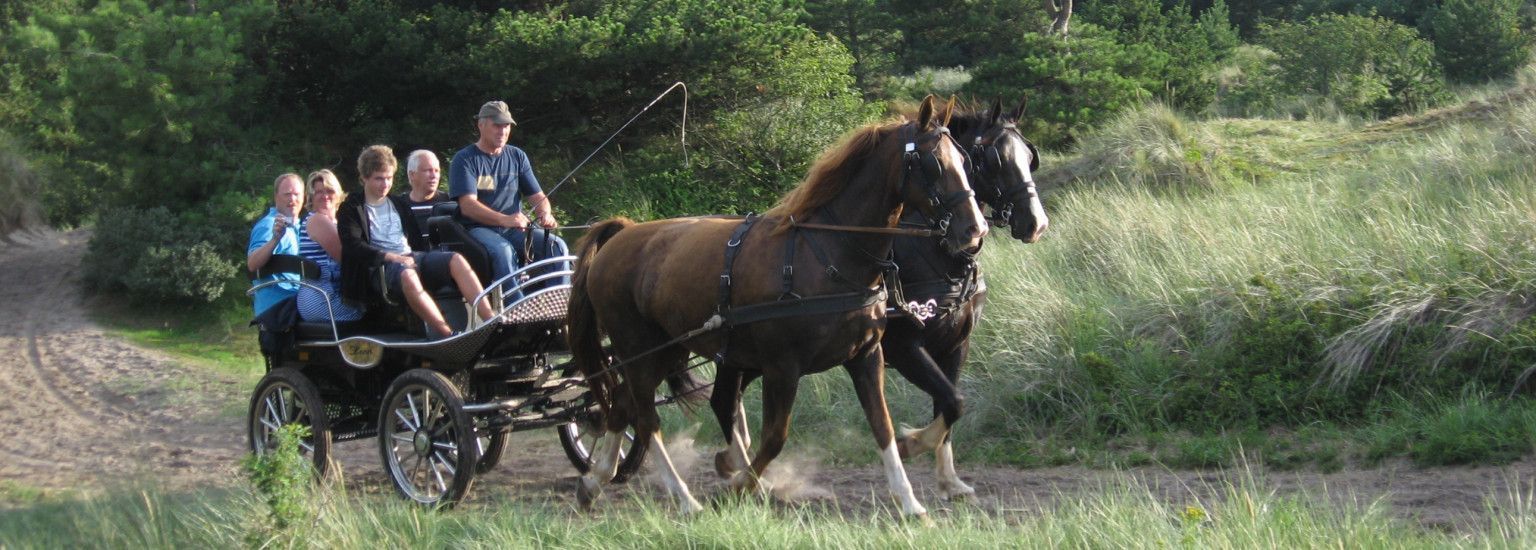 Freizeitfahrten Familie De Boer - VVV Ameland