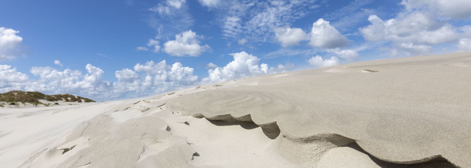 Strand- und Muschelexkursion - VVV Ameland