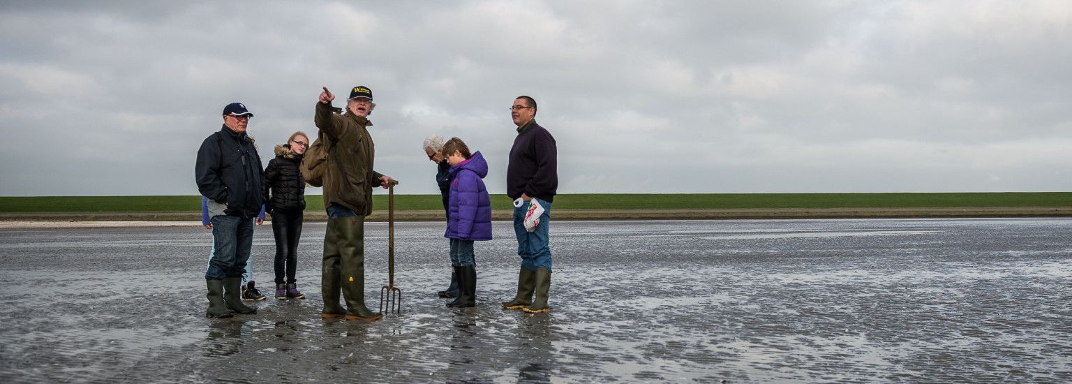 Wijnberg Wattexkursionen - VVV Ameland