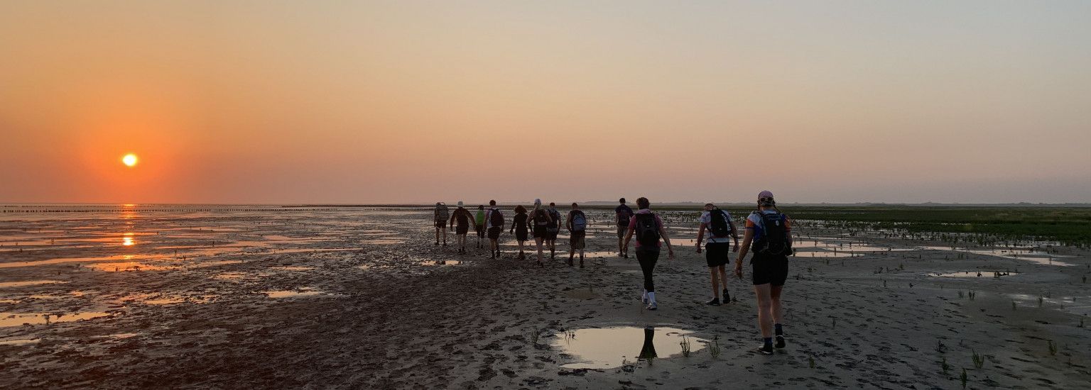 Wattenmeerstreifzug - VVV Ameland