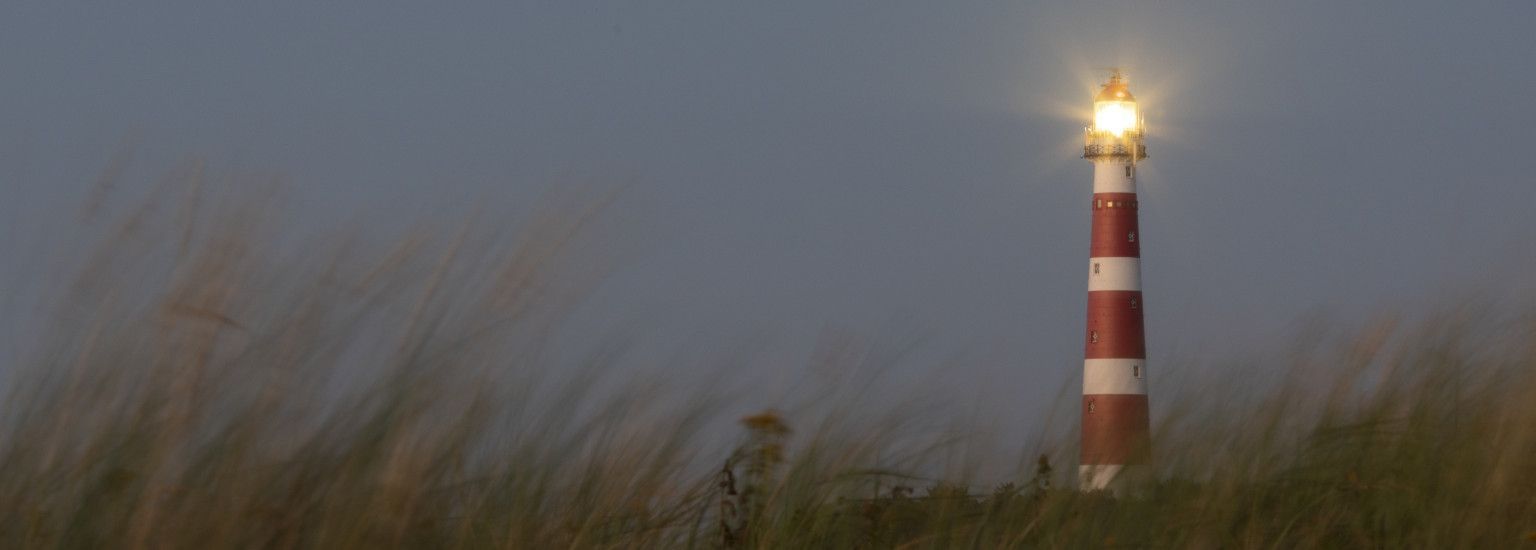 Wald, Strand und Leuchtturm - Foto: Anja Brouwer - VVV Ameland