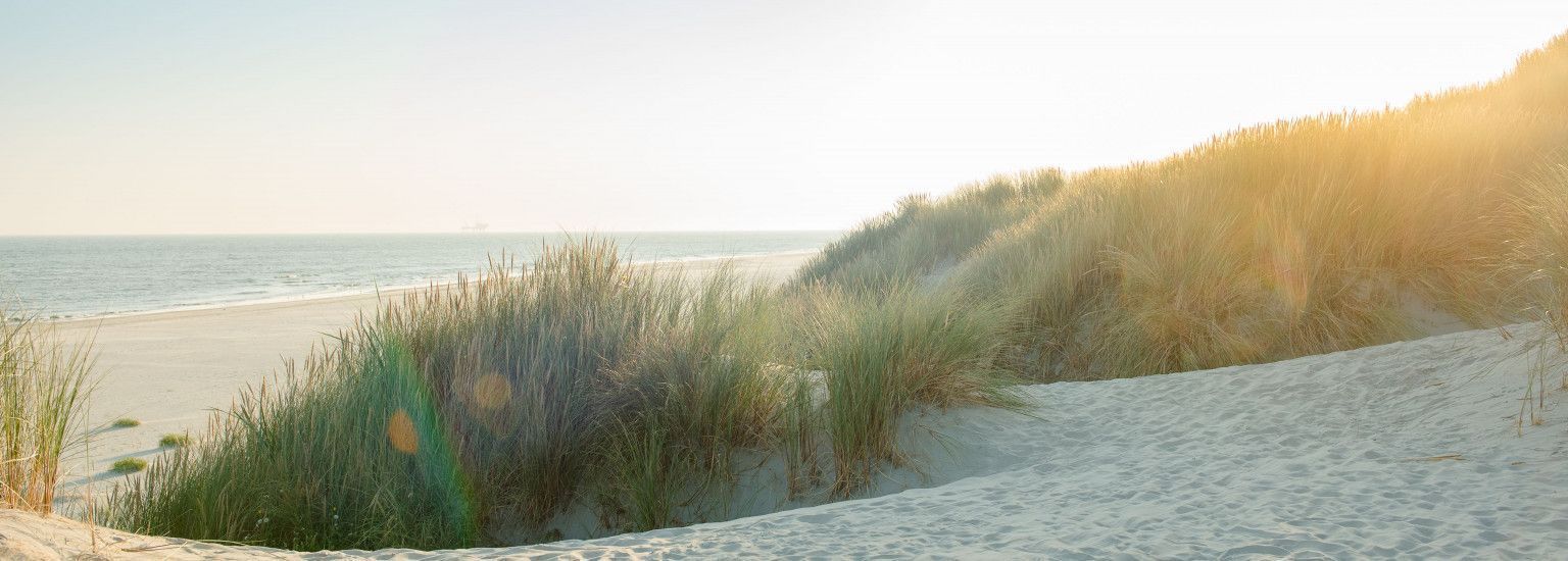 Ameland - Schiermonnikoog eiland- en waddenhoppen - VVV Ameland