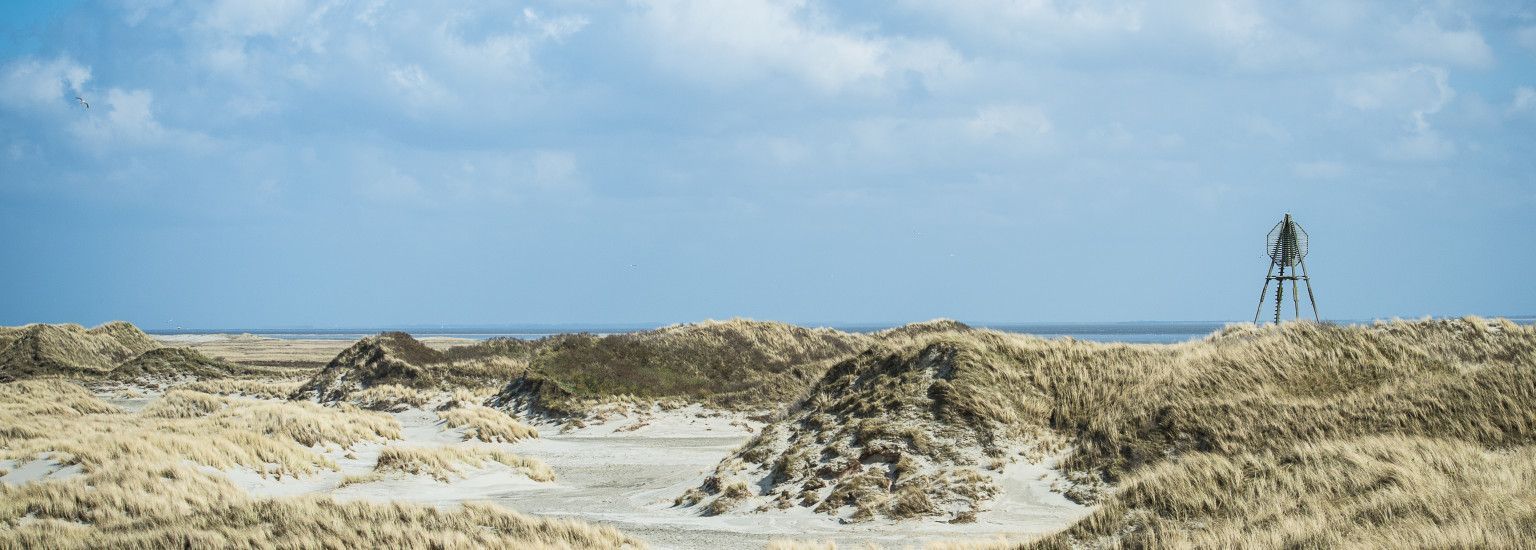 Haftungsausschluss - VVV Ameland