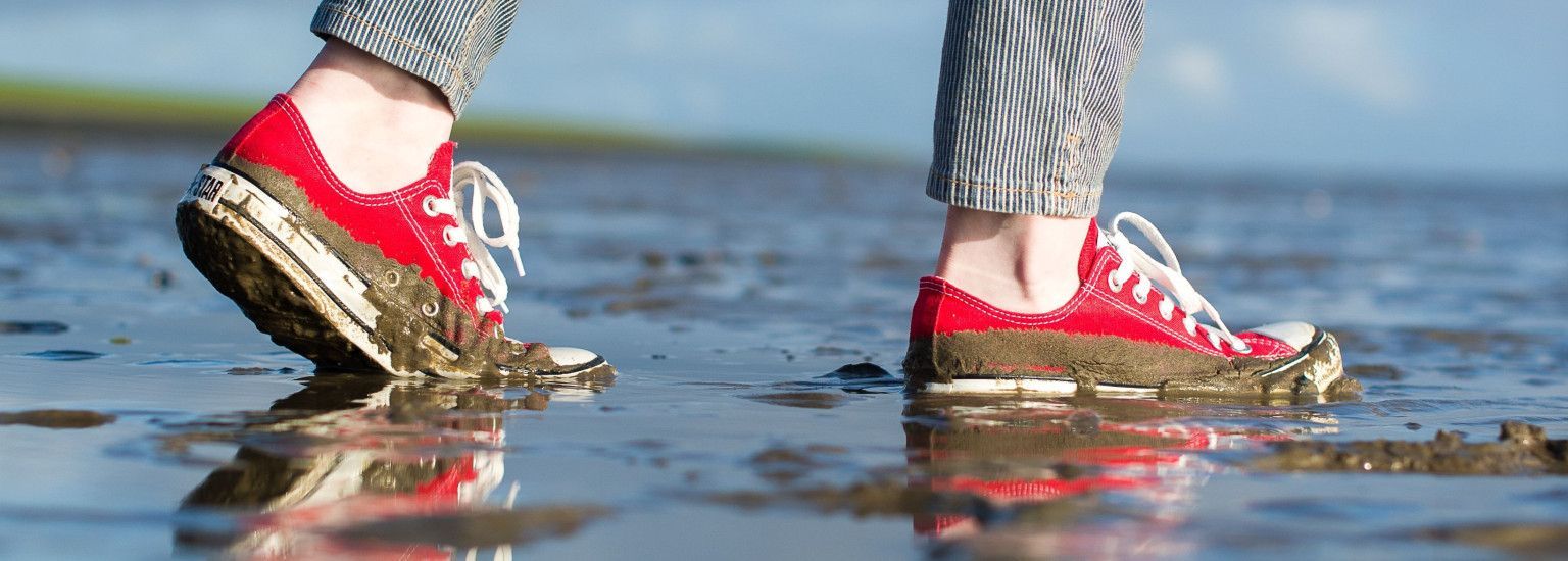 Aktivitäten und Veranstaltungen auf Ameland - VVV Ameland