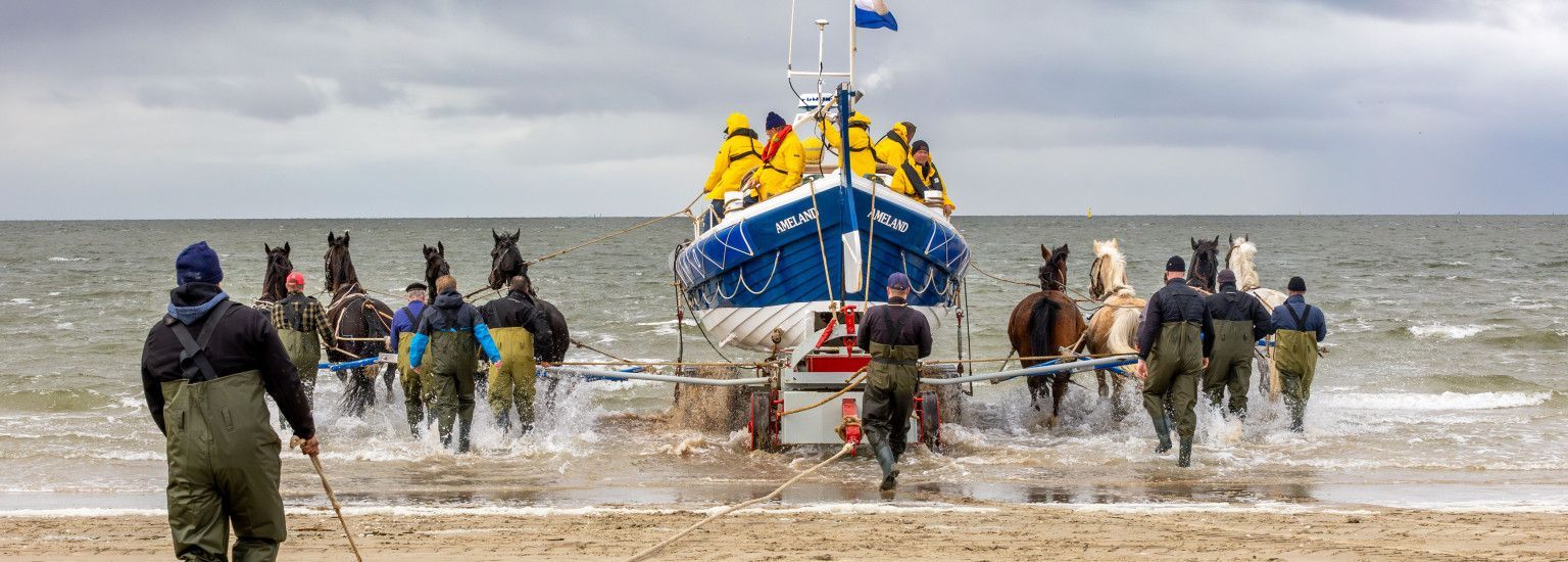 Vorführung des Pferderettungsbootes - VVV Ameland