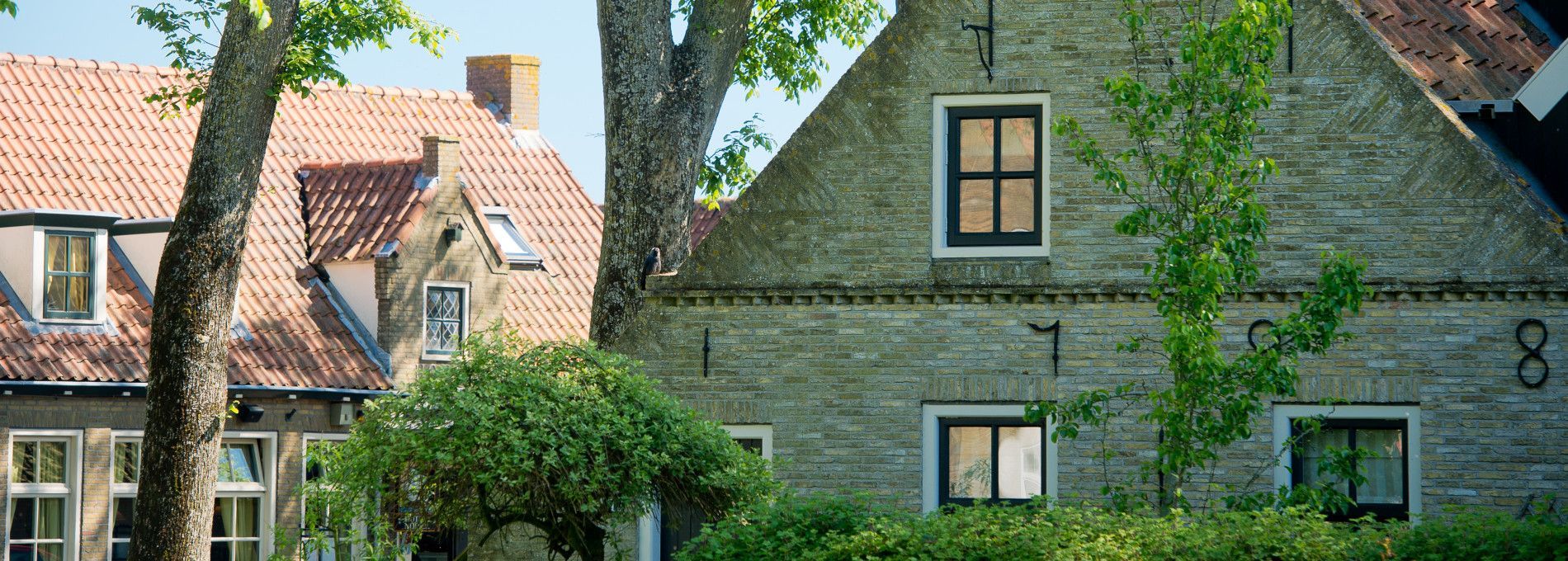 Unterkünfte mit Vogelnamen Ballum - VVV Ameland