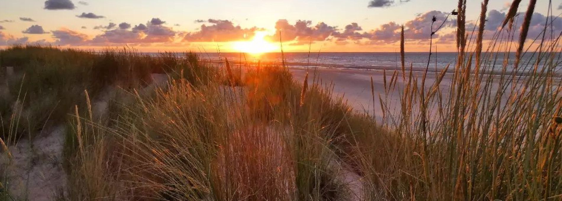 Preise und Auszeichnungen - VVV Ameland