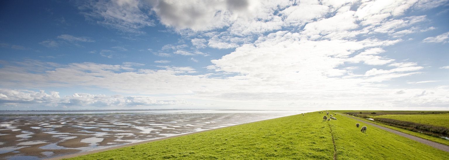 Taxifahrten - VVV Ameland