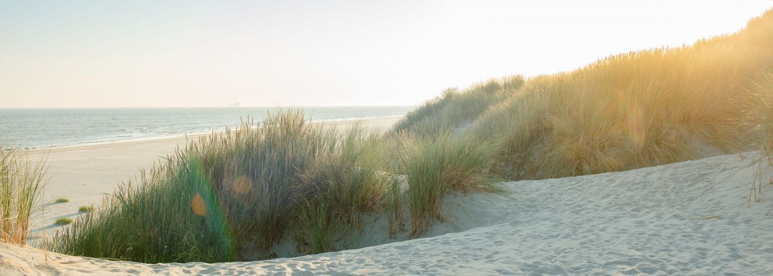 Ameland - Schiermonnikoog eiland- en waddenhoppen - VVV Ameland