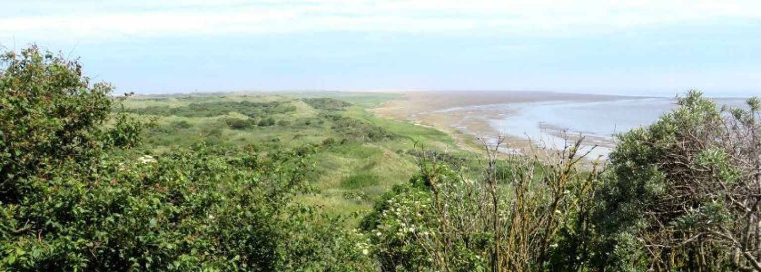 Natur auf Ameland