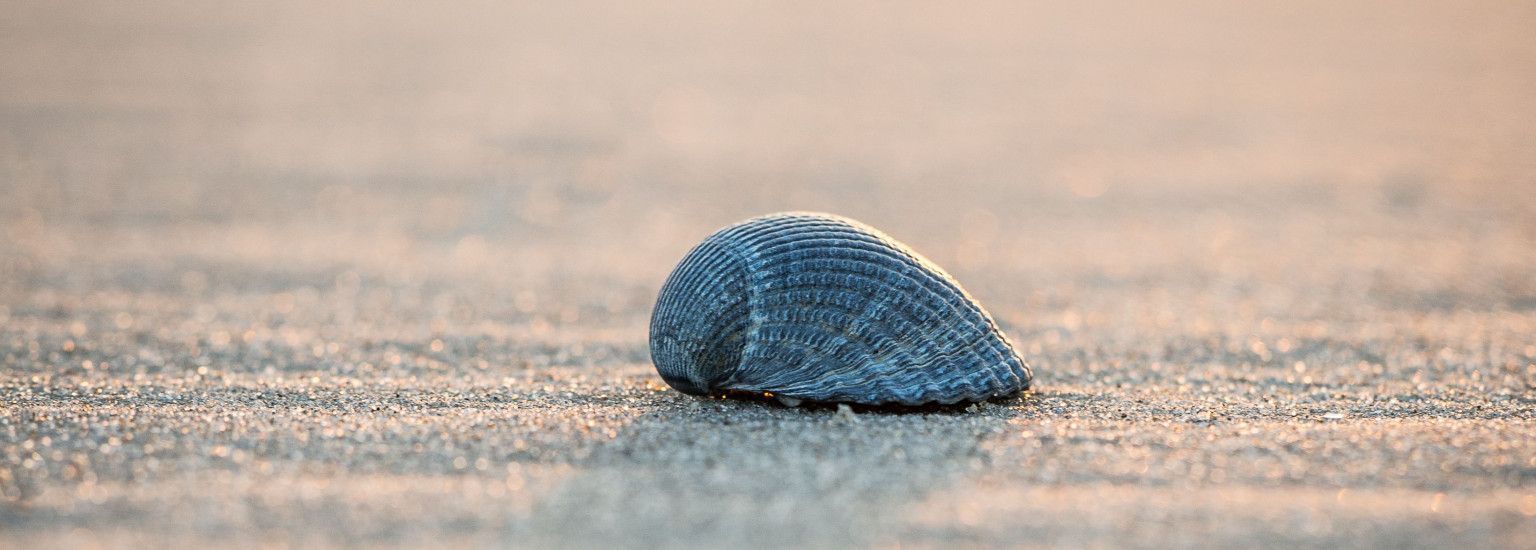 Drogerie Parfumerie Kienstra - VVV Ameland