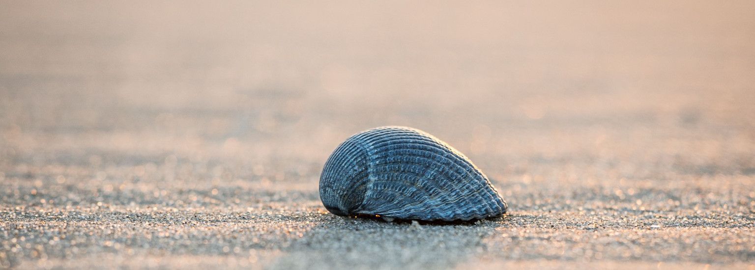 Radio Boelens - VVV Ameland