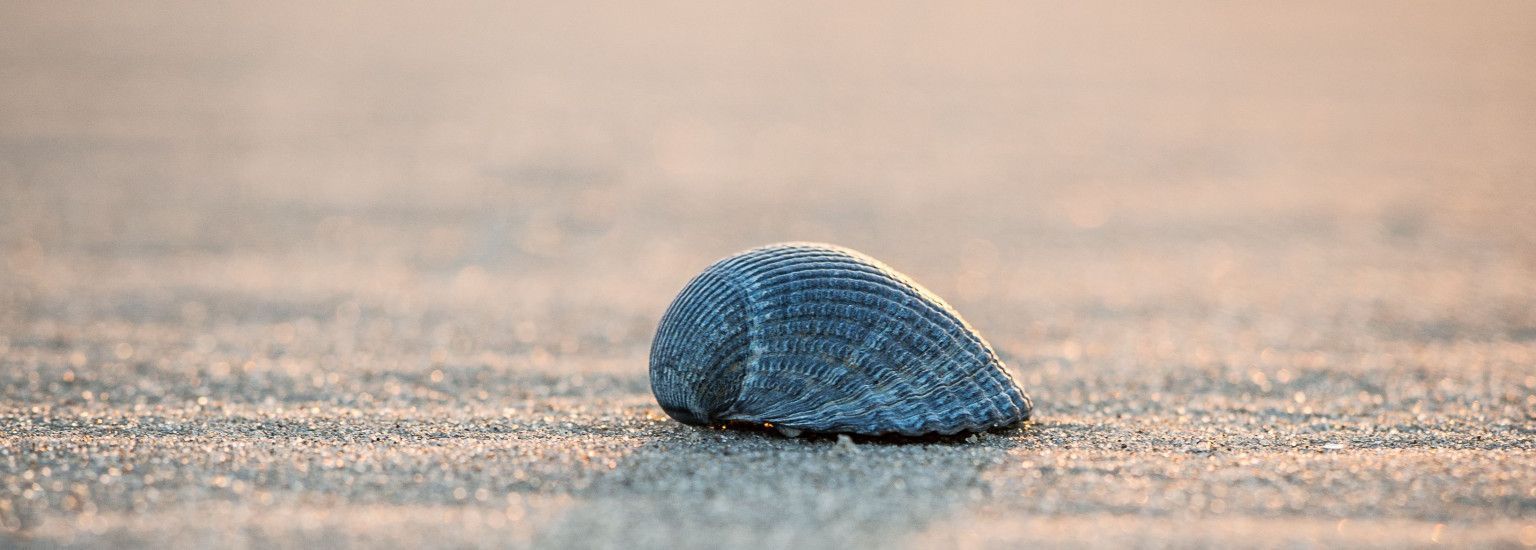 Drogerie Parfumerie Kienstra - VVV Ameland