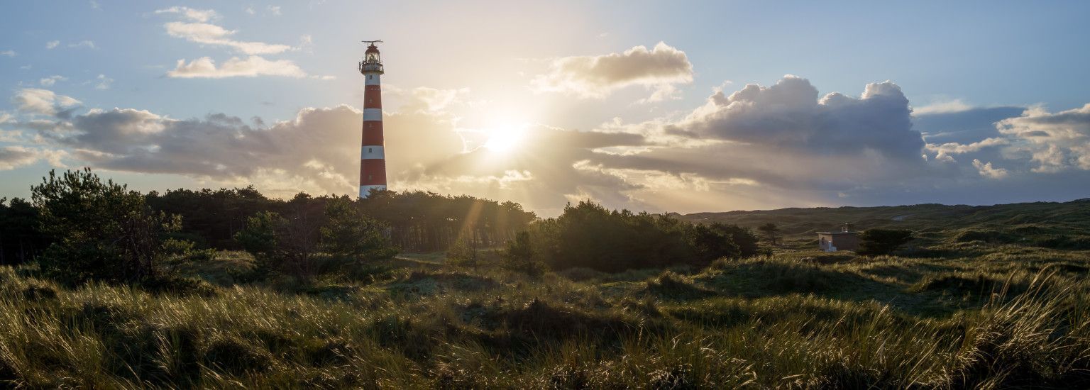 Herbstlichen Arrangements - VVV Ameland