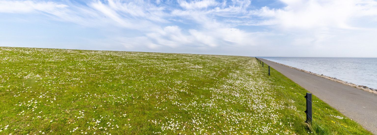 Allgemeine Bedingungen Flaschenpost & einsendungen Fotos - VVV Ameland