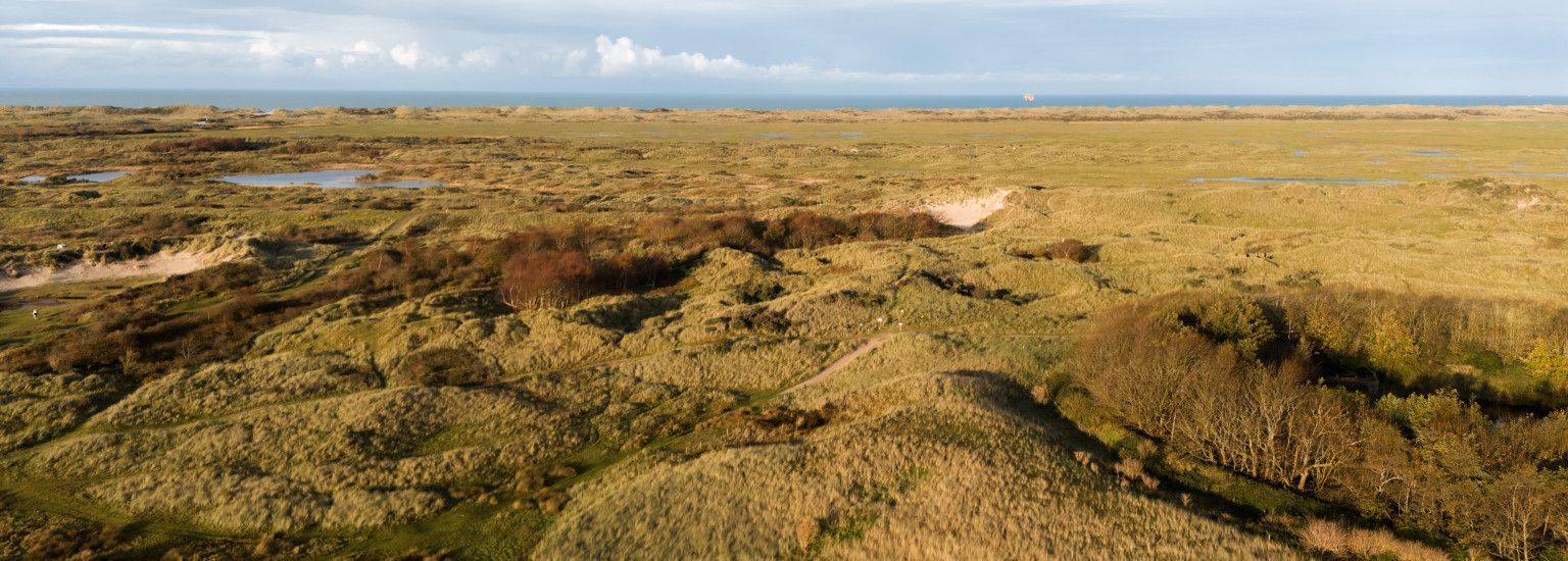 Kunstwanderung in den Kooiduinen- VVV Ameland