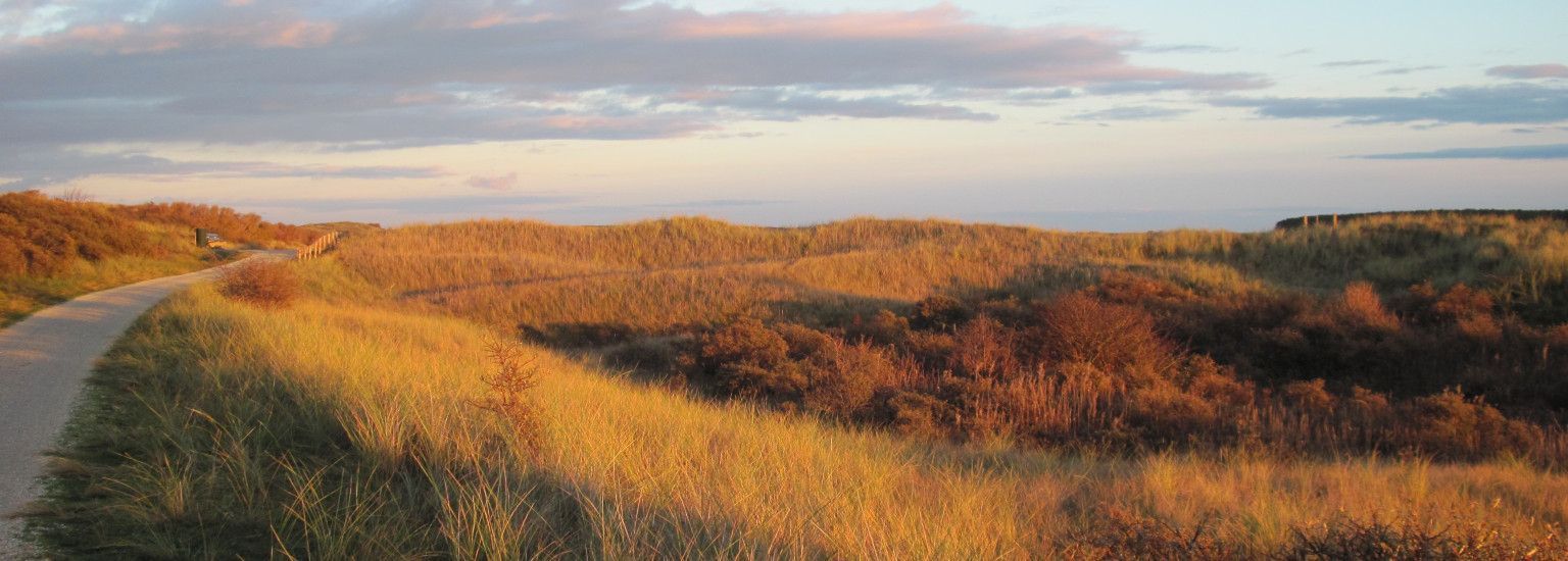 Literarische Abende  Kunstmaand Ameland - VVV Ameland