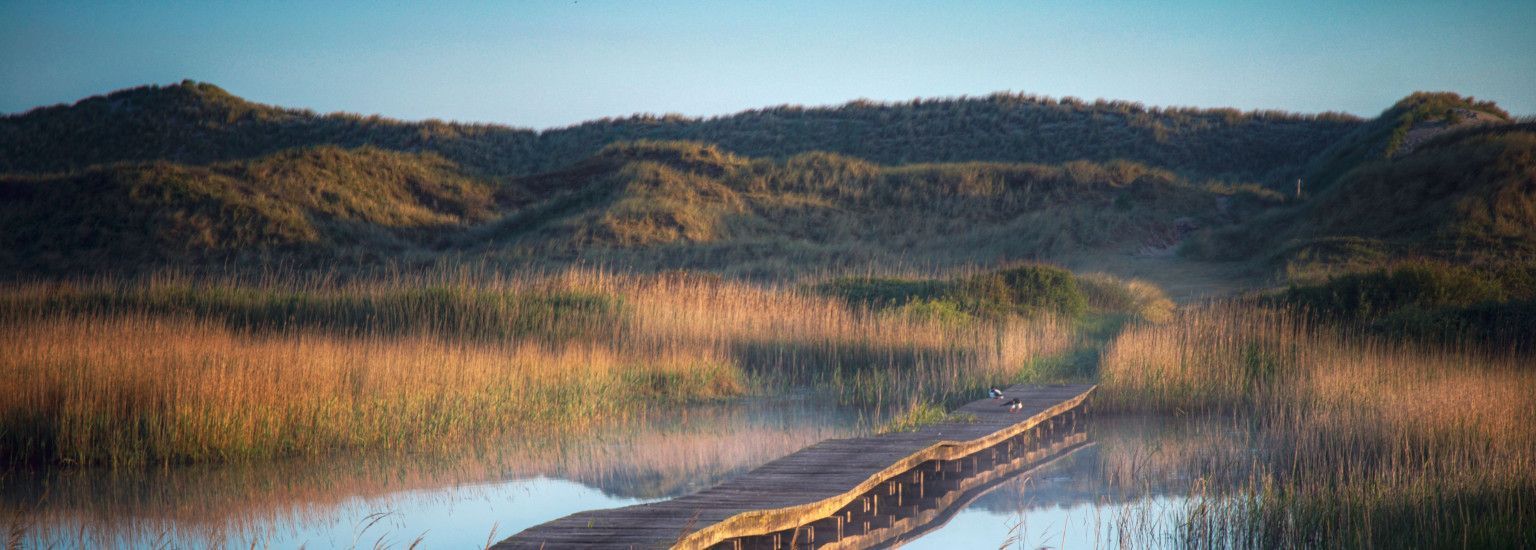 Wo die Einheimischen hingehen Ameland-Tipps von unseren VVV-Kolleginnen und -Kollegen - VVV Ameland