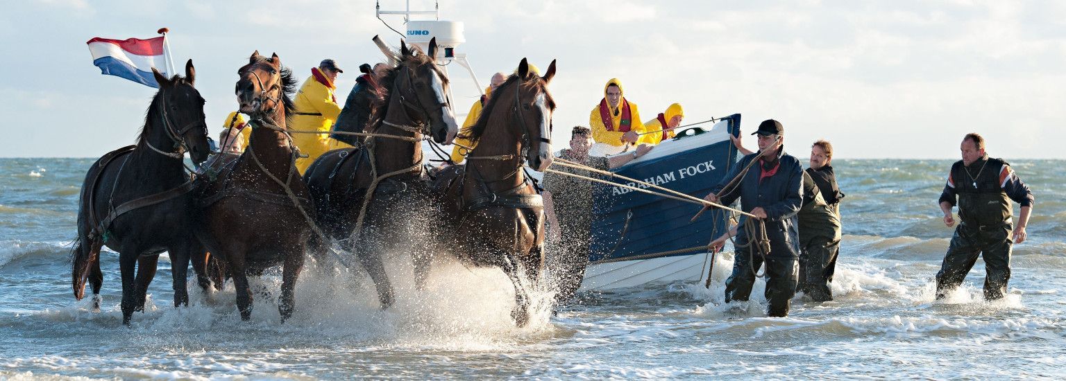 Vorführung des Pferderettungsbootes - VVV Ameland