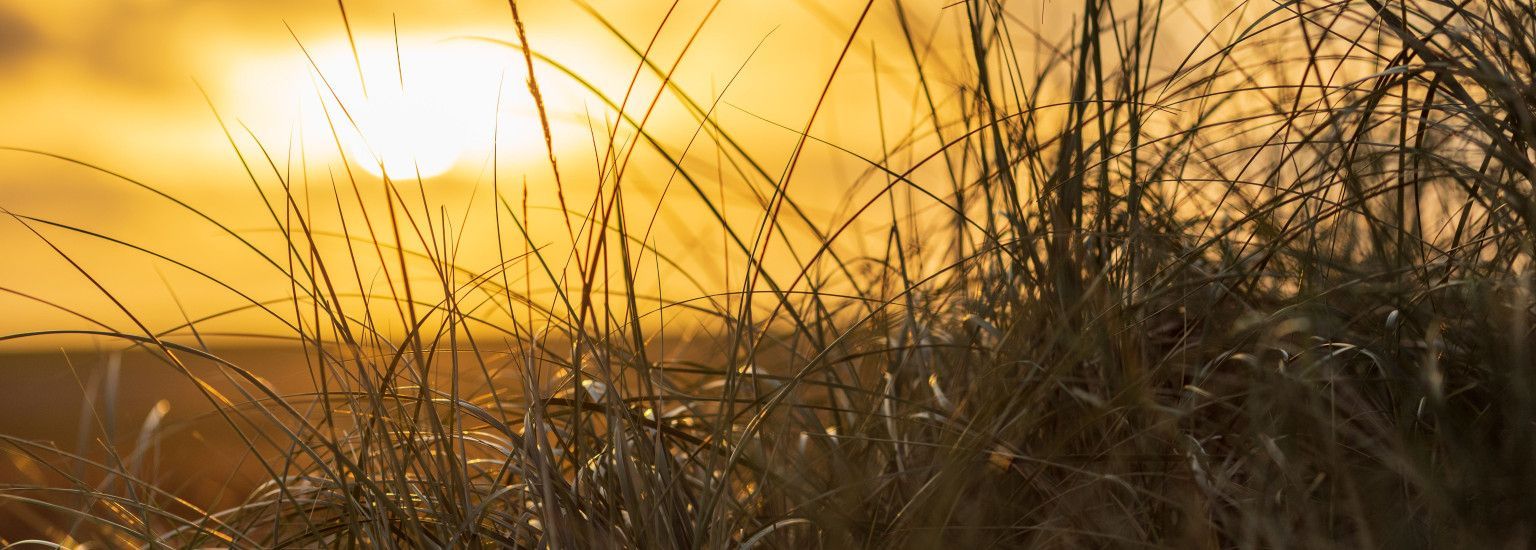 Amelander Traditionen und Bräuche - VVV Ameland