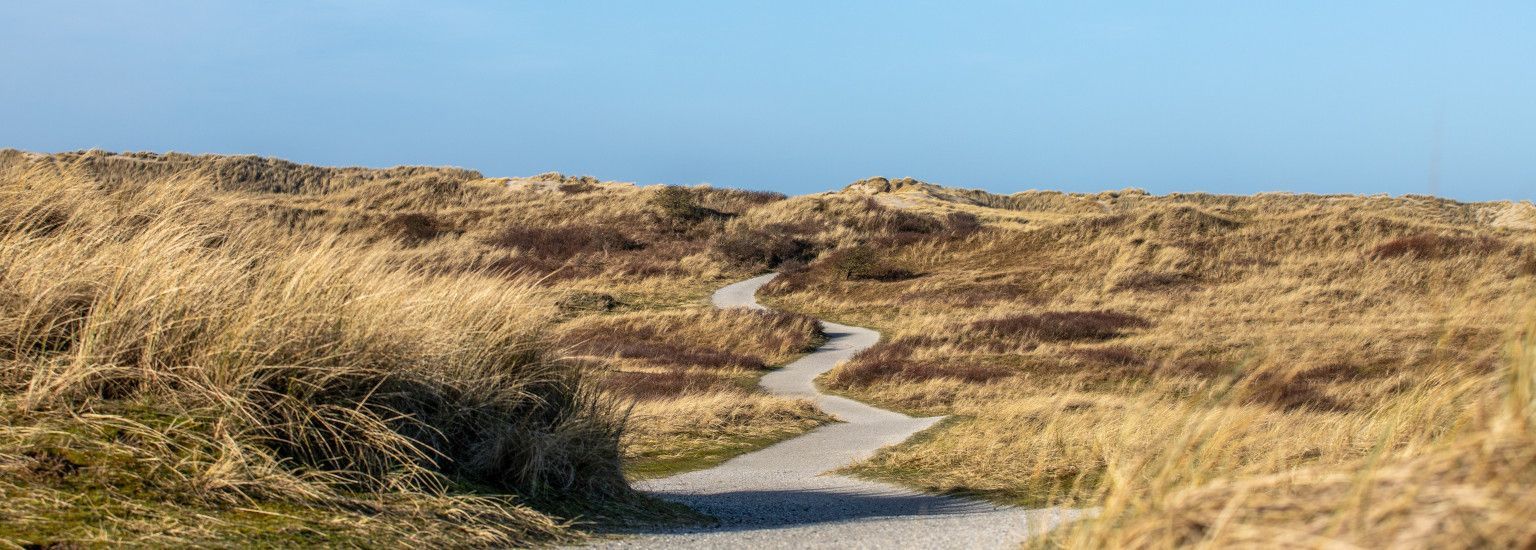 Gute Vorsätze? Fangen Sie auf Ameland an! - VVV Ameland