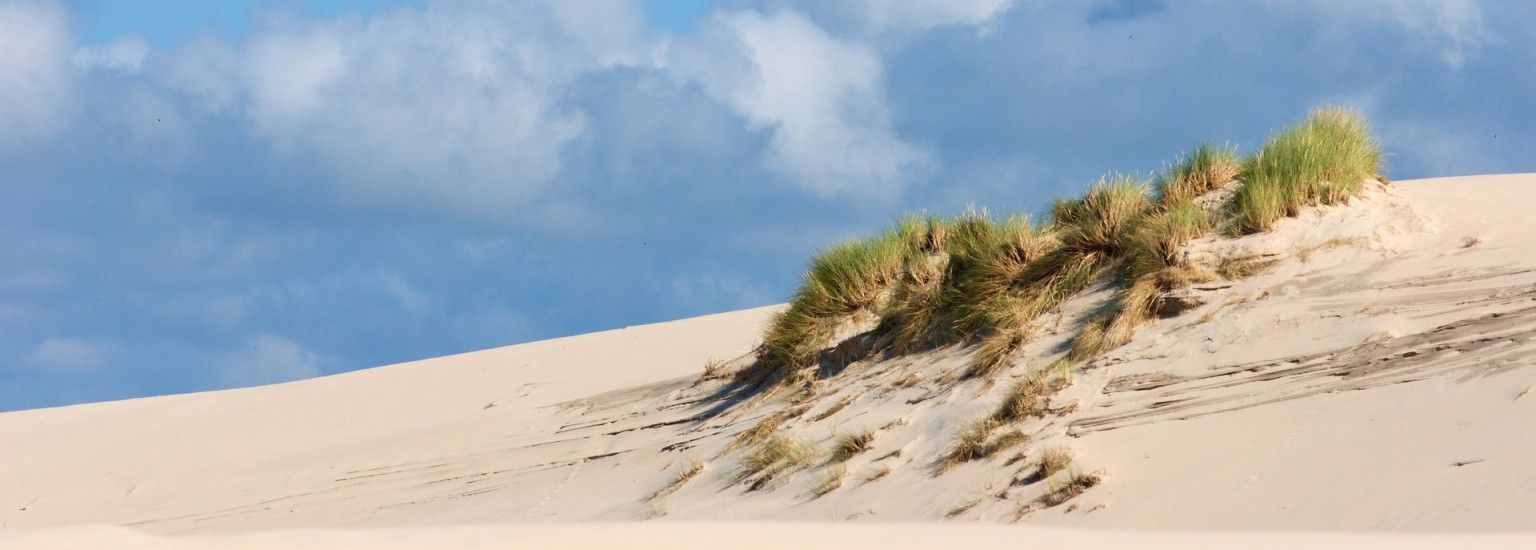 Frühling auf Ameland: Ihr ultimativer Frühlingsausflug - VVV Ameland