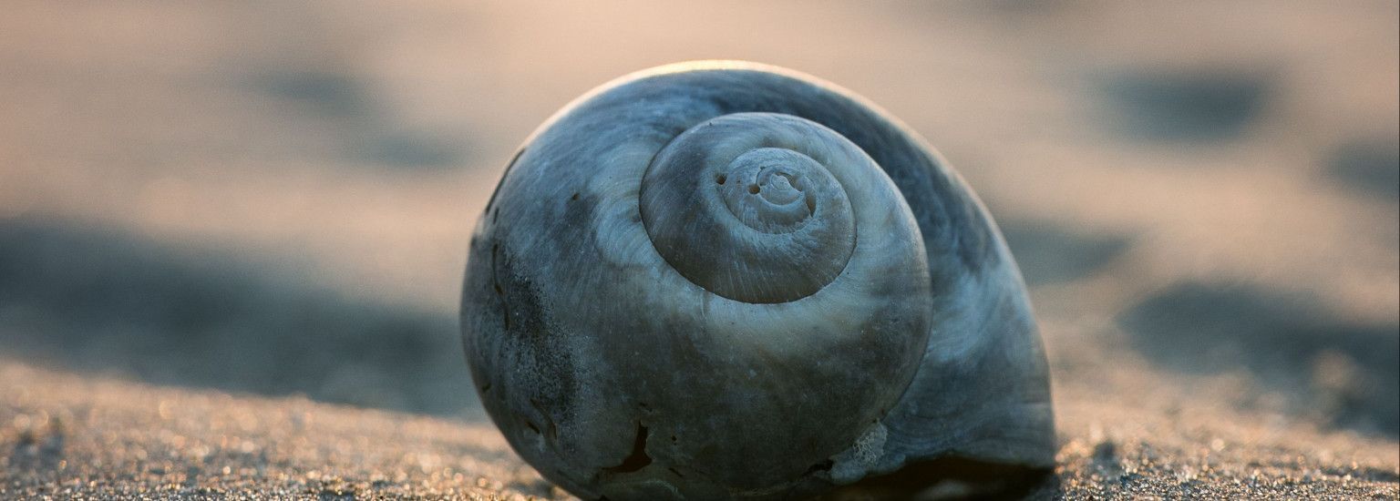 Marjan - VVV Ameland