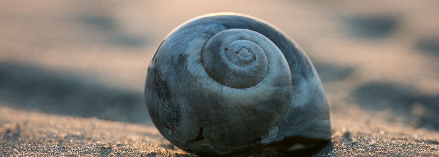 De Akelei R9 - VVV Ameland