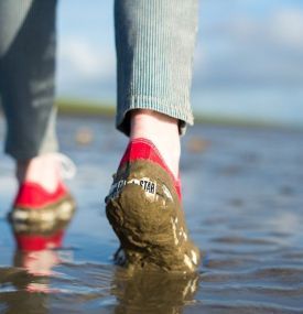 Wandern auf dem Bodem des Wattenmeeres - VVV Ameland