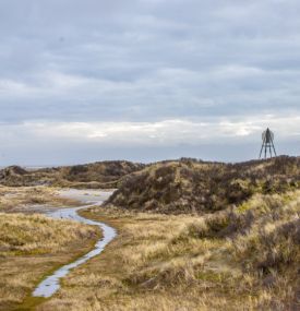 10-mal die schönsten Aktivitäten auf Ameland während der Weihnachtsferien - VVV Ameland