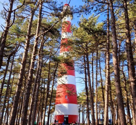 Frühling auf Ameland: Ihr ultimativer Frühlingsausflug - VVV Ameland