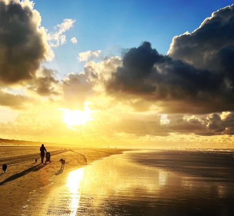 Gute Vorsätze? Fangen Sie auf Ameland an! - VVV Ameland