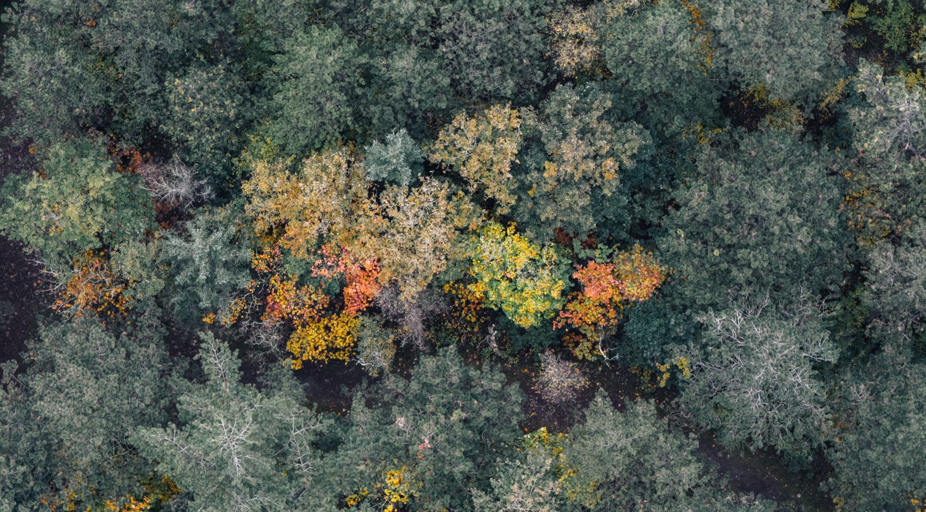 Herbst auf Ameland - VVV Ameland