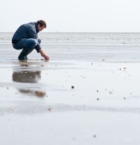 Amelander Oesters, Kokkels, Harderfilet en Zeebaars - Amelands Produkt - VVV Ameland