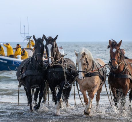 10-mal die schönsten Aktivitäten auf Ameland während der Weihnachtsferien - VVV Ameland