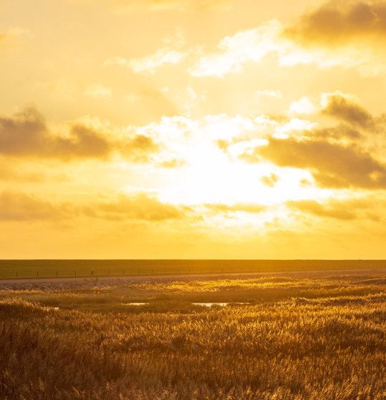 Herbst auf Ameland - VVV Ameland