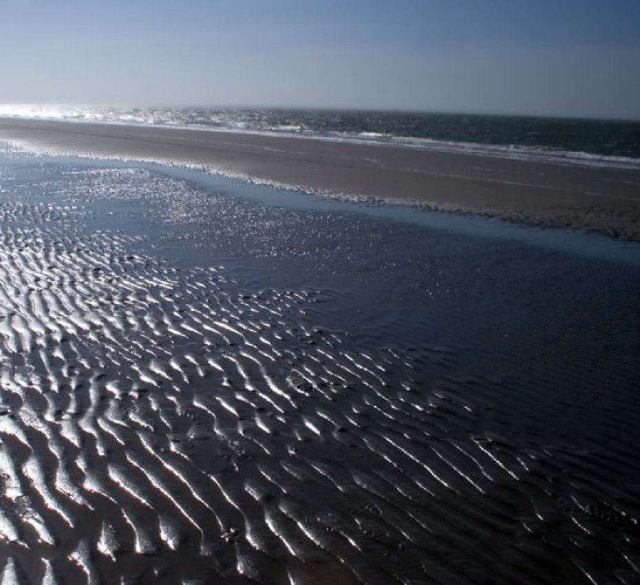 Wie soll man sich verhalten?  - VVV Ameland