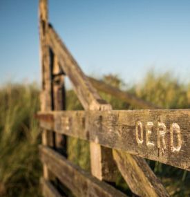 Oerd und Hôn - VVV Ameland