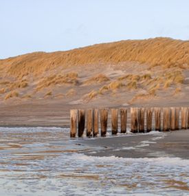 10-mal die schönsten Aktivitäten auf Ameland während der Weihnachtsferien - VVV Ameland