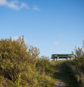 Mochdijk bij Hagedoornveld - VVV Ameland